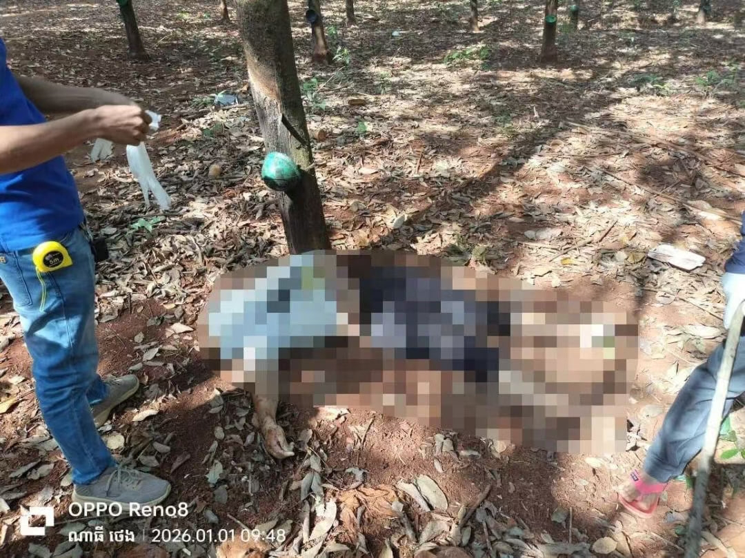 <strong>虐杀同胞后抛尸橡胶园内，6名中国籍男子被捕</strong>